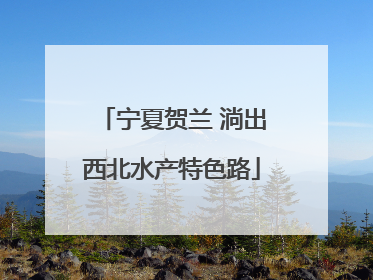 宁夏贺兰 淌出西北水产特色路