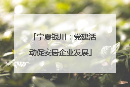 宁夏银川：党建活动促安居企业发展