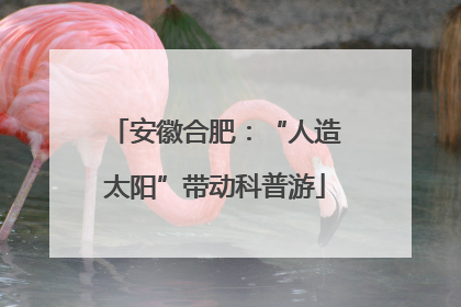 安徽合肥：“人造太阳”带动科普游