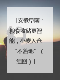 安徽阜南：粮食收储更智能，小麦入仓“不落地”（组图）