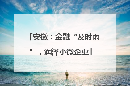 安徽：金融“及时雨”，润泽小微企业