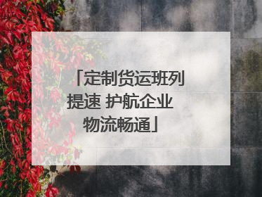 定制货运班列提速 护航企业物流畅通