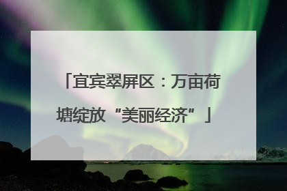 宜宾翠屏区：万亩荷塘绽放“美丽经济”