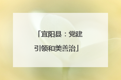 宜阳县：党建引领和美善治