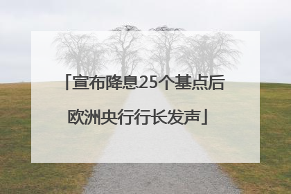 宣布降息25个基点后 欧洲央行行长发声