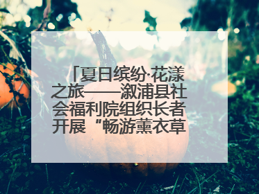 夏日缤纷·花漾之旅——溆浦县社会福利院组织长者开展“畅游薰衣草庄园 共享紫色浪漫”户外活动