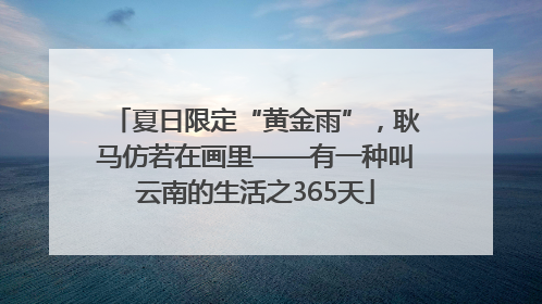 夏日限定“黄金雨”，耿马仿若在画里——有一种叫云南的生活之365天