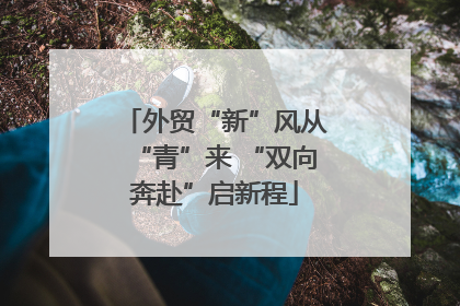 外贸“新”风从“青”来 “双向奔赴”启新程