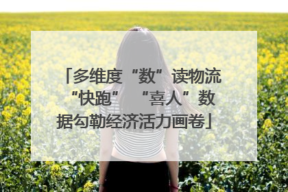 多维度“数”读物流“快跑” “喜人”数据勾勒经济活力画卷