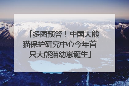 多图预警！中国大熊猫保护研究中心今年首只大熊猫幼崽诞生