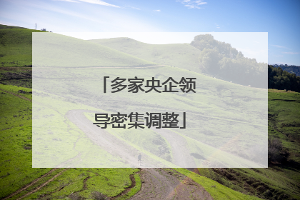 多家央企领导密集调整
