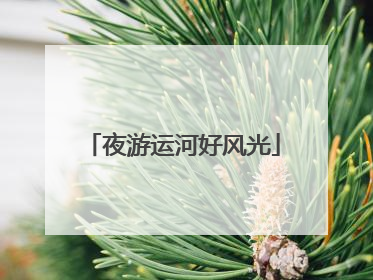 夜游运河好风光