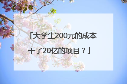 大学生200元的成本干了20亿的项目？