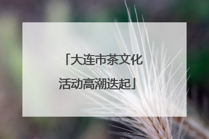 大连市茶文化活动高潮迭起