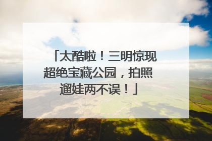 太酷啦！三明惊现超绝宝藏公园，拍照遛娃两不误！