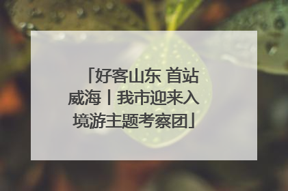 好客山东 首站威海丨我市迎来入境游主题考察团