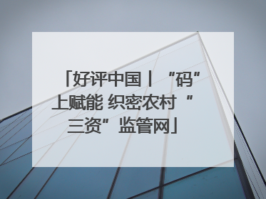 好评中国丨“码”上赋能 织密农村“三资”监管网