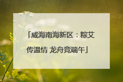 威海南海新区：粽艾传温情 龙舟竞端午