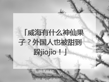 威海有什么神仙果子？外国人也被甜到跺jiojio！