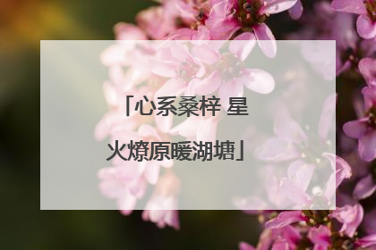 心系桑梓 星火燎原暖湖塘