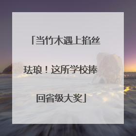 当竹木遇上掐丝珐琅！这所学校捧回省级大奖