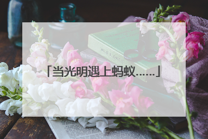 当光明遇上蚂蚁……