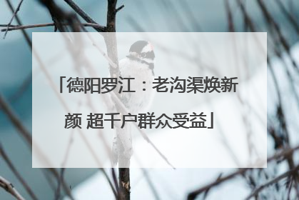 德阳罗江：老沟渠焕新颜 超千户群众受益