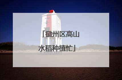 徽州区高山水稻种植忙