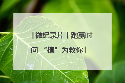 微纪录片丨跑赢时间 “植”为救你
