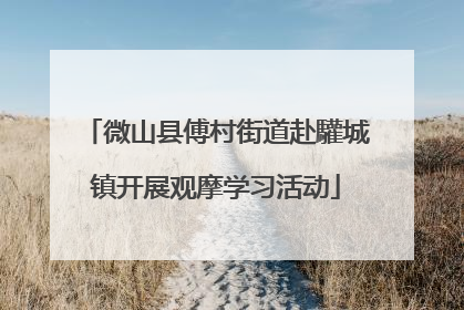 微山县傅村街道赴驩城镇开展观摩学习活动