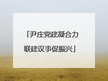 尹庄党建凝合力 联建议事促振兴