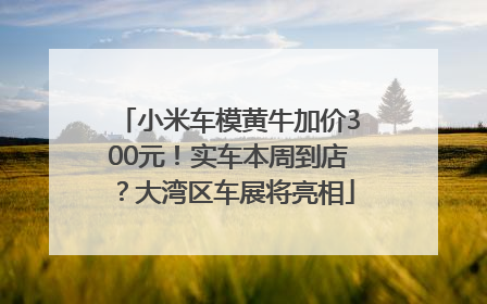 小米车模黄牛加价300元！实车本周到店？大湾区车展将亮相
