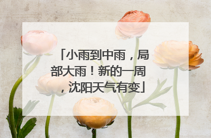 小雨到中雨，局部大雨！新的一周，沈阳天气有变