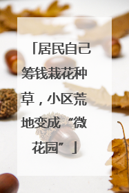 居民自己筹钱栽花种草，小区荒地变成“微花园”