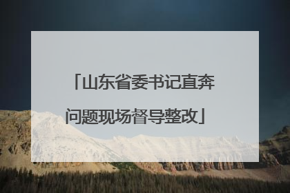 山东省委书记直奔问题现场督导整改