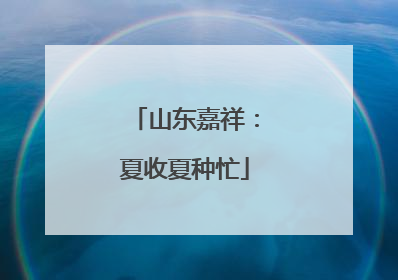山东嘉祥：夏收夏种忙