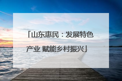 山东惠民：发展特色产业 赋能乡村振兴