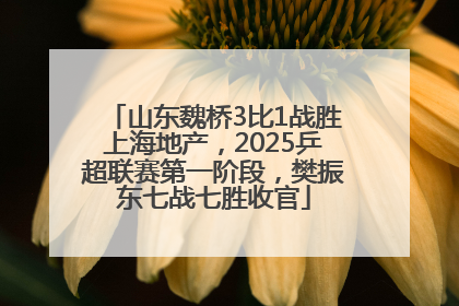 山东魏桥3比1战胜上海地产，2025乒超联赛第一阶段，樊振东七战七胜收官