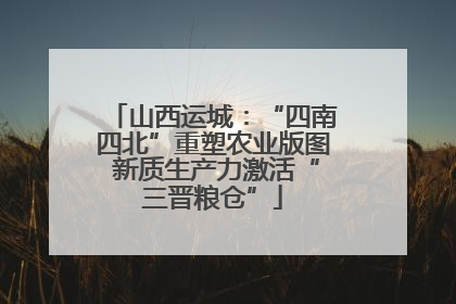 山西运城：“四南四北”重塑农业版图 新质生产力激活“三晋粮仓”