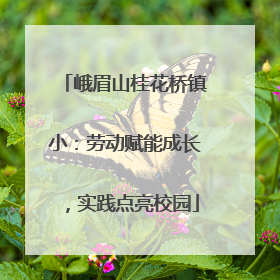 峨眉山桂花桥镇小：劳动赋能成长，实践点亮校园