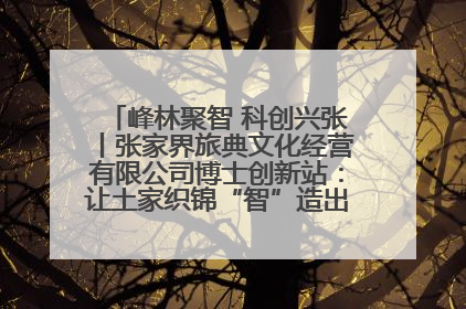 峰林聚智 科创兴张丨张家界旅典文化经营有限公司博士创新站：让土家织锦“智”造出非遗新传奇