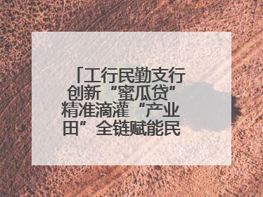 工行民勤支行创新“蜜瓜贷”精准滴灌“产业田”全链赋能民勤乡村振兴