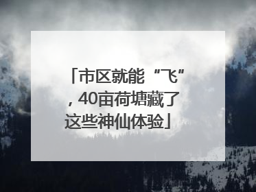 市区就能“飞”，40亩荷塘藏了这些神仙体验
