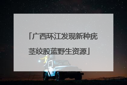 广西环江发现新种疣茎绞股蓝野生资源