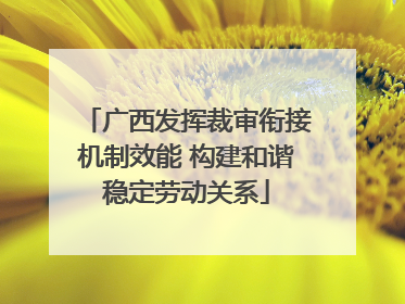 广西发挥裁审衔接机制效能 构建和谐稳定劳动关系