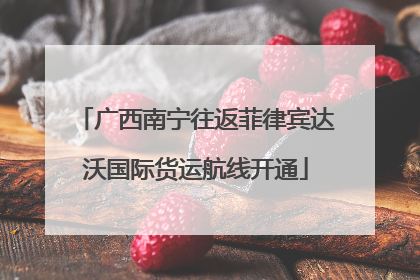 广西南宁往返菲律宾达沃国际货运航线开通