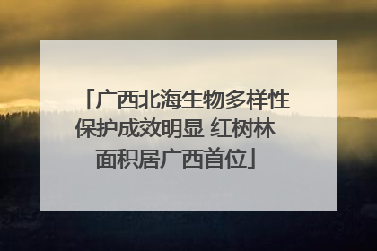 广西北海生物多样性保护成效明显 红树林面积居广西首位