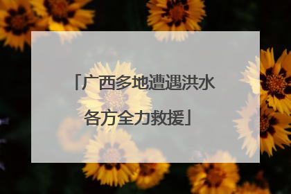 广西多地遭遇洪水 各方全力救援