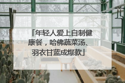 年轻人爱上自制健康餐,哈佛蔬菜汤、羽衣甘蓝成爆款