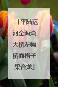 平陆运河金海湾大桥左幅桥面格子梁合龙